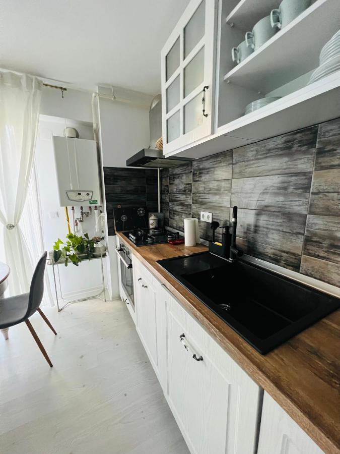 Apartmán The Airport Loft Otopeni Exteriér fotografie