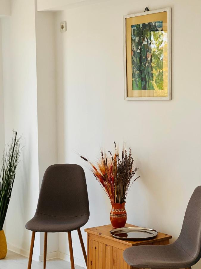 Apartmán The Airport Loft Otopeni Exteriér fotografie